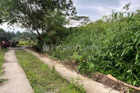 Jual Sawah Subur 5000m² di Karangpandan Karanganyar Solo