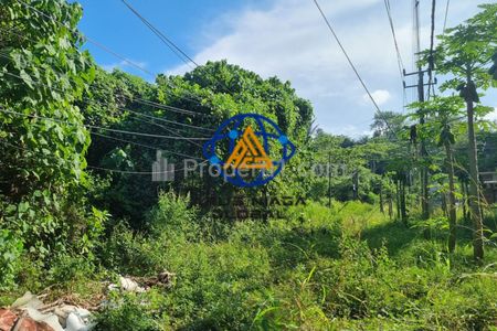 Dijual Tanah di Denpasar Bali Tabanan Kerambitan
