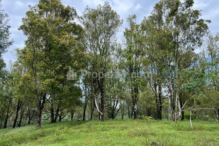 Jual Tanah Idaman 7700m² Cocok untuk Villa di Jenawi Karanganyar