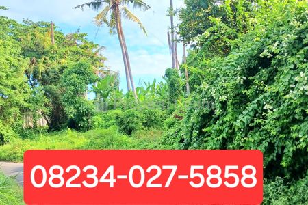 Dijual Tanah 3250 m2 di Keramas Dekat Komaneka dan Pantai Gianyar Bali