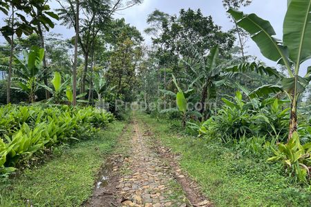 Jual Tanah Udara Dingin 150 Juta Cocok untuk Kebun Buah di Jenawi Karanganyar Jawa Tengah