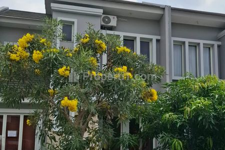 Sewa Rumah Full Furnish di Kedaton Golf Suvarna Sutera Tangerang