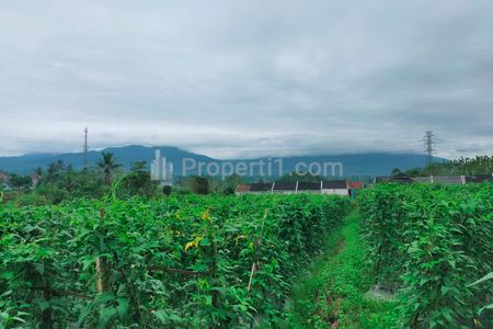 Jual Tanah Sawah di Parungkuda Sukabumi Harga 400 Ribu Per Meter