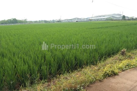 Dijual Tanah Strategis Untuk Industri Dan Gudang Pinggir Jalan Raya Padaasih Cibogo Subang