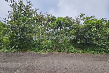 Tampak Depan