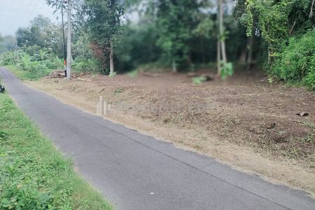 Jual Tanah Murah Prospektif View Sawah Utara SMA Negeri 1 Minggir Sleman Yogyakarta