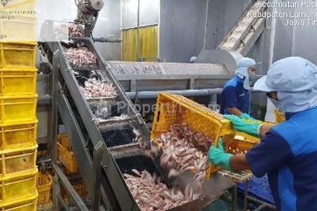 Dijual Pabrik Lengkap di Raya Deandels, Lamongan