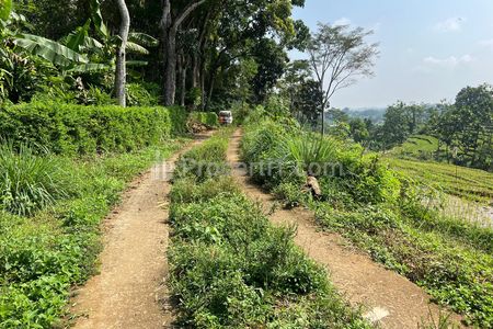 Dijual Tanah Subur 4000m² Udara Dingin di Karangpandan Karanganyar