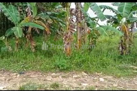 Jual Murah Nego Tanah SHM 1 Hektar Akses Truk di Cikahuripan, Klapanunggal, Bogor, Jawa Barat