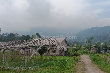 Dijual Tanah 1000m² Udara Dingin Kawasan Wisata Ngargoyoso, Karanganyar