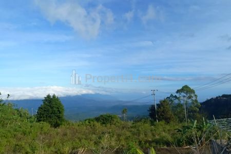 Sewa Tanah di Dusun Tamblingan Munduk Buleleng Bali Utara - Luas 800 m2 VIEW LUAR BIASA