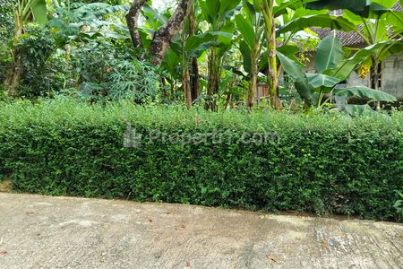 Dijual Kebun Durian 1282m² Siap Panen Utara Pasar Mojogedang