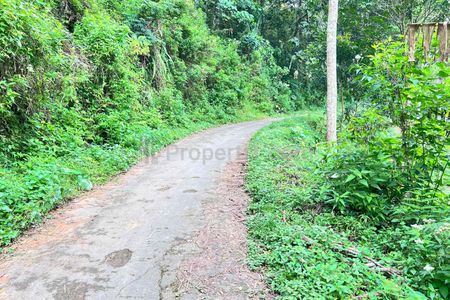 Dijual Kebun Durian Siap Panen 7700m2 500Jt di Jenawi Karanganyar Jawa Tengah