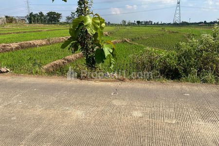 Dijual Tanah Super Datar 3889m² di Sambirejo Sragen