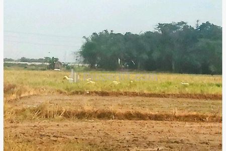 Dijual Tanah Perumahan Kecamatan Tirtamulya Karawang, Lokasi Strategis Dekat Kota Cikampek