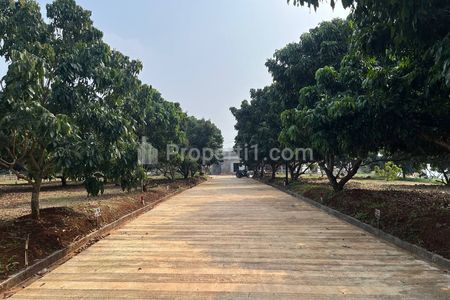 Jual Tanah Murah 40 Juta Luas 80 m2 Bisa Bangun di Cariu, Bogor