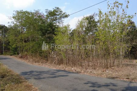 Dijual Tanah Bagus di Sitimulyo Piyungan Bantul, Dekat Jalan Wonosari Bagus untuk Dikavling atau Gudang