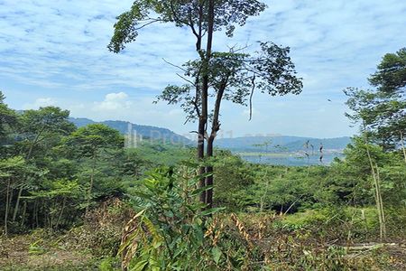 Jual Tanah View Gunung dan Lembah untuk Resort Agro Wisata Perkebunan Peternakan Dekat Jalan Cagak Subang