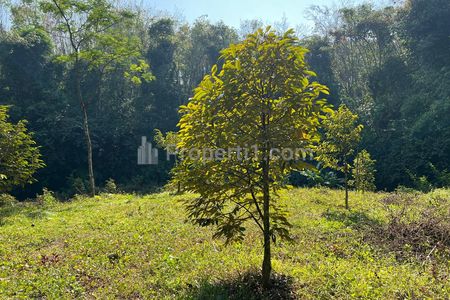 Dijual Tanah Idaman 1018m² Dekat Sungai di Kerjo, Karanganyar