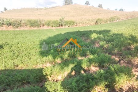 Dijual Tanah Kosong Daerah Karo Sukanalu - Barusjahe