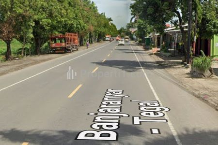 Tanah Dijual di Lokasi Strategis Jalan Nasional Slawi, Tegal