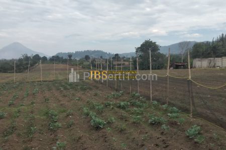Jual Tanah di Jalan Kebun Bunga - Dolat Rayat, Karo (Dekat Villa Gitar Mas)