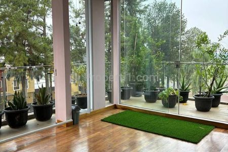 View Pohon Pinus