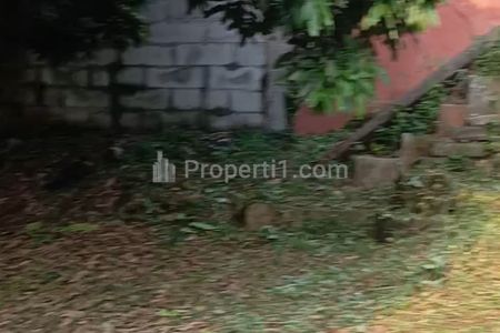Tampak dalam