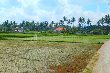Disewakan Rumah di Tegalalang Ubud Gianyar Bali