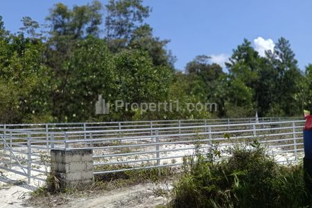 Dijual Tanah Luas 200 m2 SHM di Tanjung Pandan Belitung - Cocok untuk Villa, Guest House, Bnb / Investasi