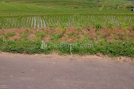 Dijual Tanah Datar 3416m2 View Solo Raya Kerjo, Karanganyar, Jawa Tengah