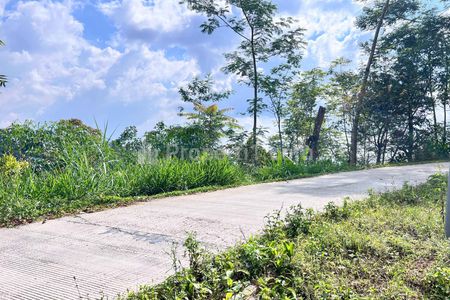 Jual Tanah Murah 9803m2 200ribu/m2 Utara Candi Cetho Jenawi Karanganyar Solo