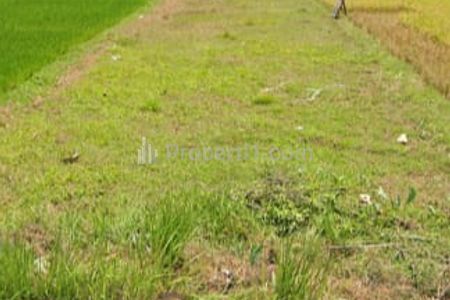 Jual Tanah Sangat Murah Sekali dan BU di Lokasi Candi Sambisari Kadirojo Purwomartani Kalasan Sleman Yogyakarta, Cocok untuk Usaha atau Investasi
