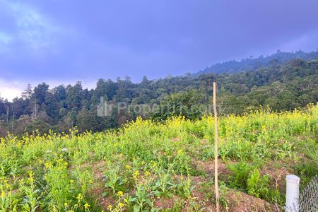 Dijual Tanah Datar Kawasan Wisata 650m2 di Kemuning Karanganyar Jawa Tengah