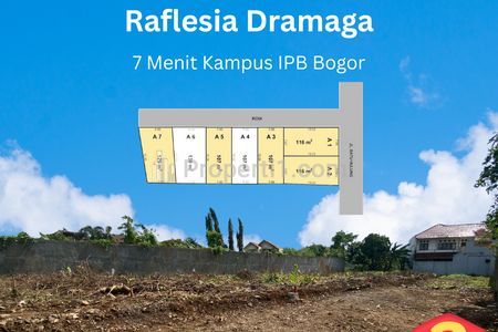 Jual Tanah Kavling Murah Strategis Dekat IPB Bogor