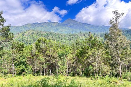 Dijual Tanah 4 Hektar Siap Bangun Wahana Wisata Karanganyar, Jawa Tengah