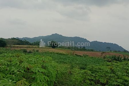 Jual Cepat Nego Tanah Sertifikat Luas 197 Hektar di Jalan Provinsi Poros Sukabumi - Sagaranten, Akses Truk, Cocok Pertanian, Peternakan, Perikanan.