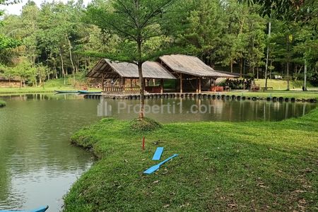 Telaga Cikeas Sentul, Tempat Camping Murah di Bogor 