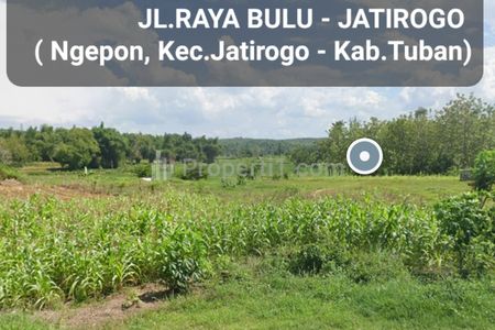Dijual Tanah 1,6 Ha di Nol Jalan Raya Bulu - Jatirogo - Kel.Ngepon - kec.Jatirogo - Kab. Tuban - Jawa Timur - Surat SHM - Lokasi Bagus