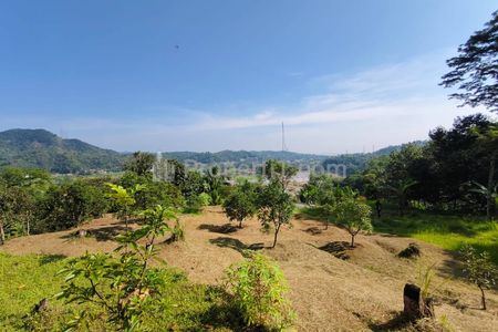Jual Tanah Berupa Kebun Buah di Leuwiliang Bogor - 150 Ribu Per Meter Persegi, Luas 5 Hektar