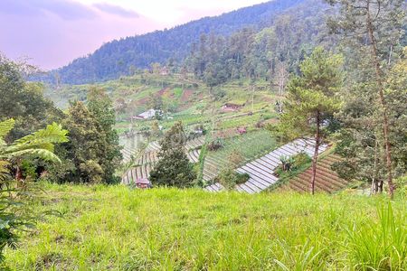 Jual Tanah 275 Juta di Kawasan Wisata Ngargoyoso, Karanganyar 