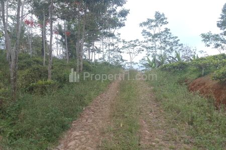 Jual Tanah Kebun Produktif Pinggir Jalan di Taraju Kabupaten Tasikmalaya