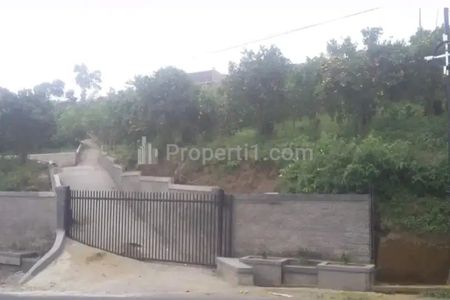 Dijual Tanah Kebun Jeruk di Raya Kintamani, Bangli
