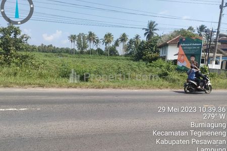 jalan lintas