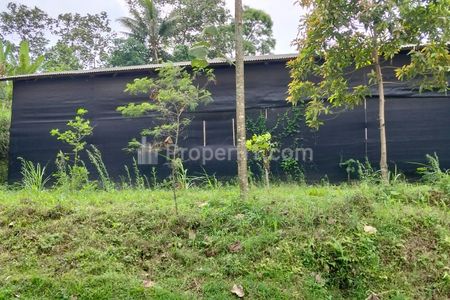 Dijual Tanah dan Bangunan Siap Pakai untuk Budidaya Jamur di Tumpang Malang - Lokasi Strategis & Lingkungan Sejuk 