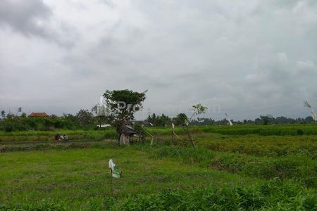 Dijual Tanah Kapling Mengwi Badung Bali Dekat Mangusada Abiansemal Tabanan Denpasar