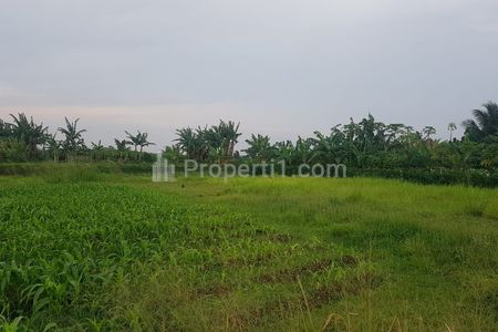 Jual Tanah Kavling Strategis 10 Menit Stasiun Cigombong Bogor Bonus Desain Rumah - Lido Village