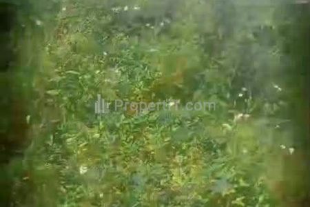Jual Murah Nego Tanah SHM dan AJB Luas 200 Hektar, Zona Industri di Gunung Putri, Bogor, Jalan Lebar, Lebar Muka 80 Meter, 5 Km Exit Tol Gunung Putri