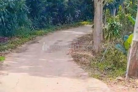 Jual Murah Tanah SHM Luas 2,3 Hektar di Jonggol, Bogor, Zona Perumahan, Cocok Rumah Subsidi, Jawa Barat