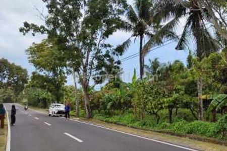 Dijual Tanah Kebun di Jalan Antosari Pupuan, Tabanan, Bali